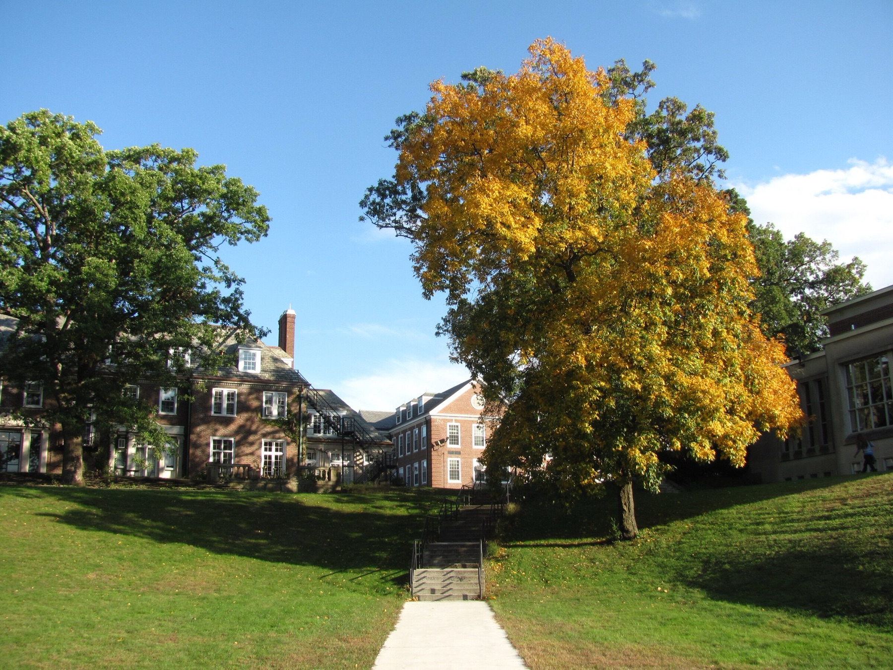 Boston College campus