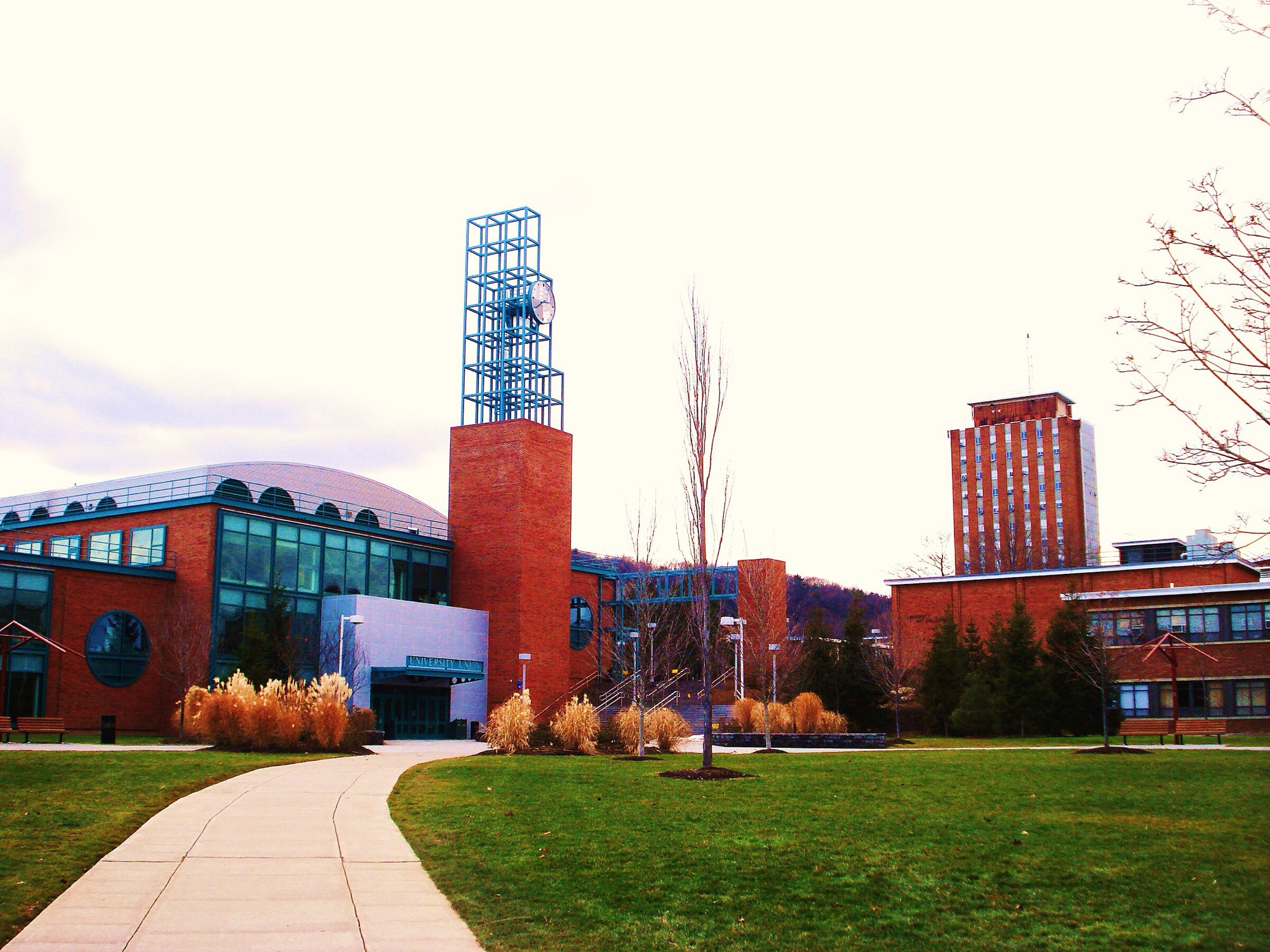 Binghamton University campus
