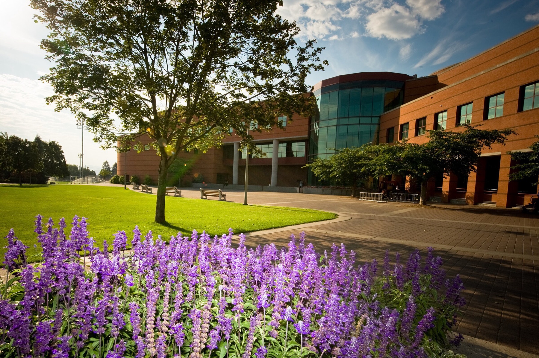 Gonzaga University campus
