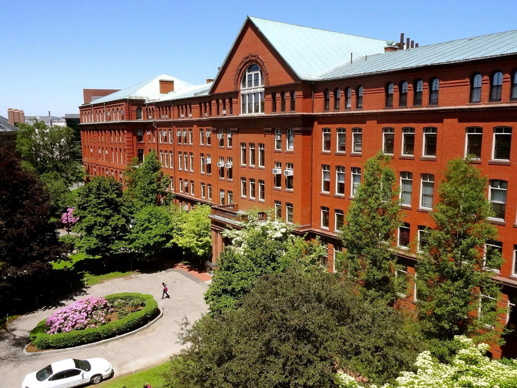 Harvard campus