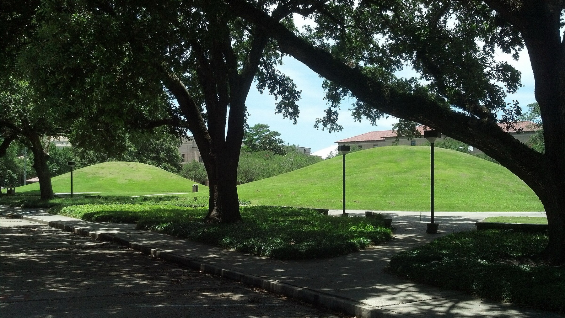 LSU campus