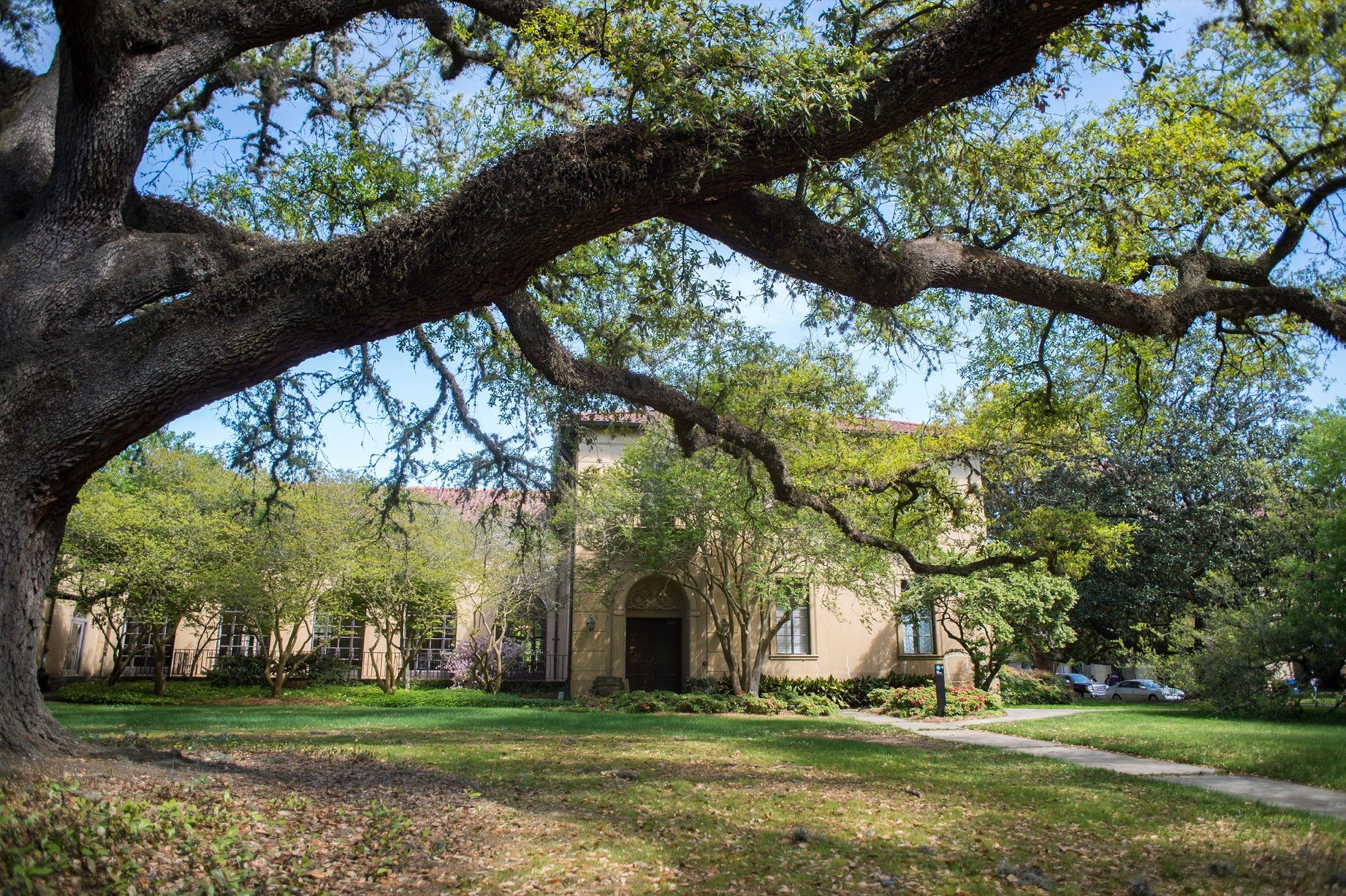 LSU campus