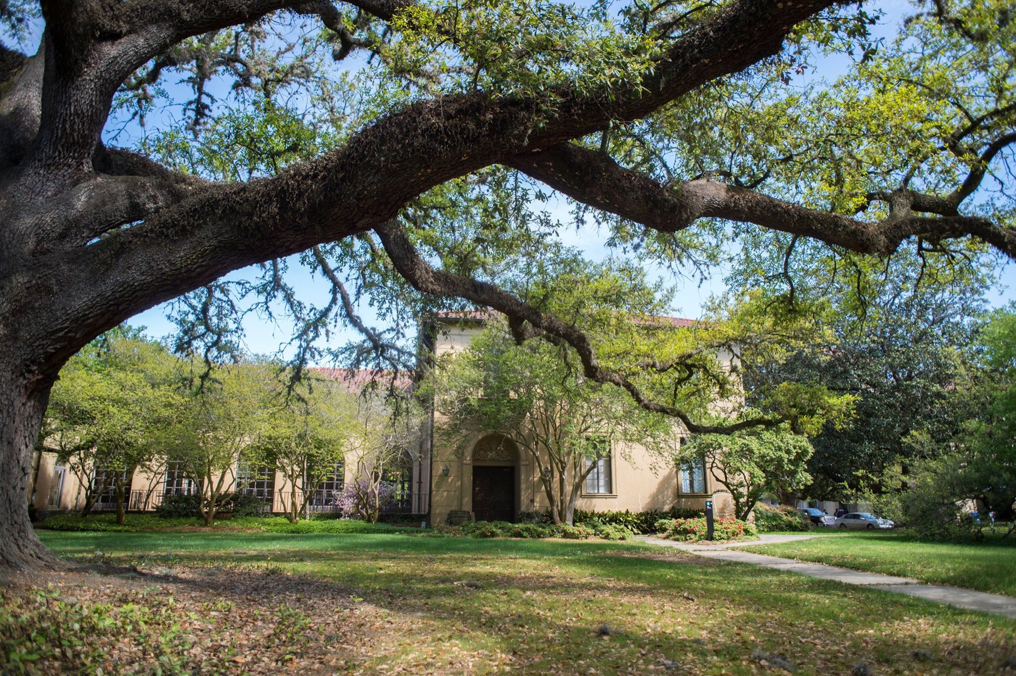 LSU campus