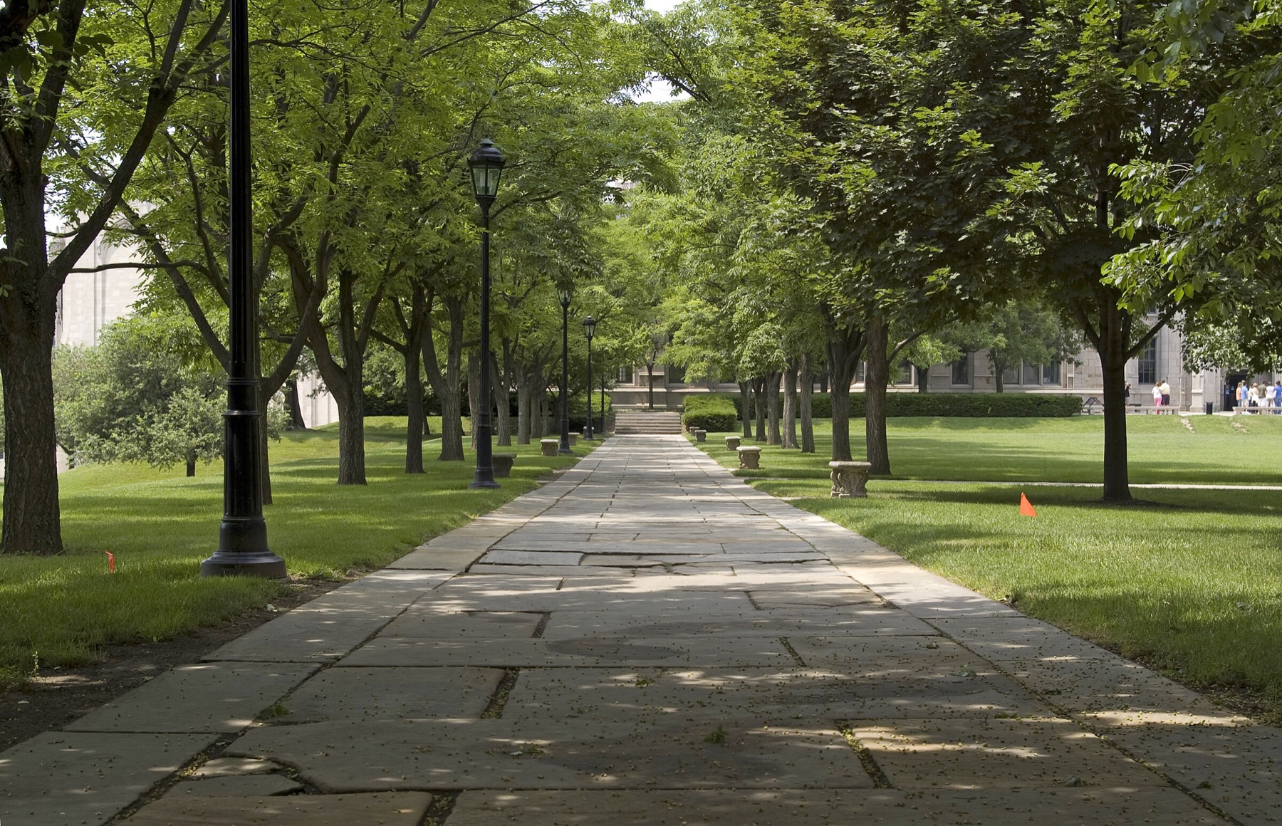 Pitt campus