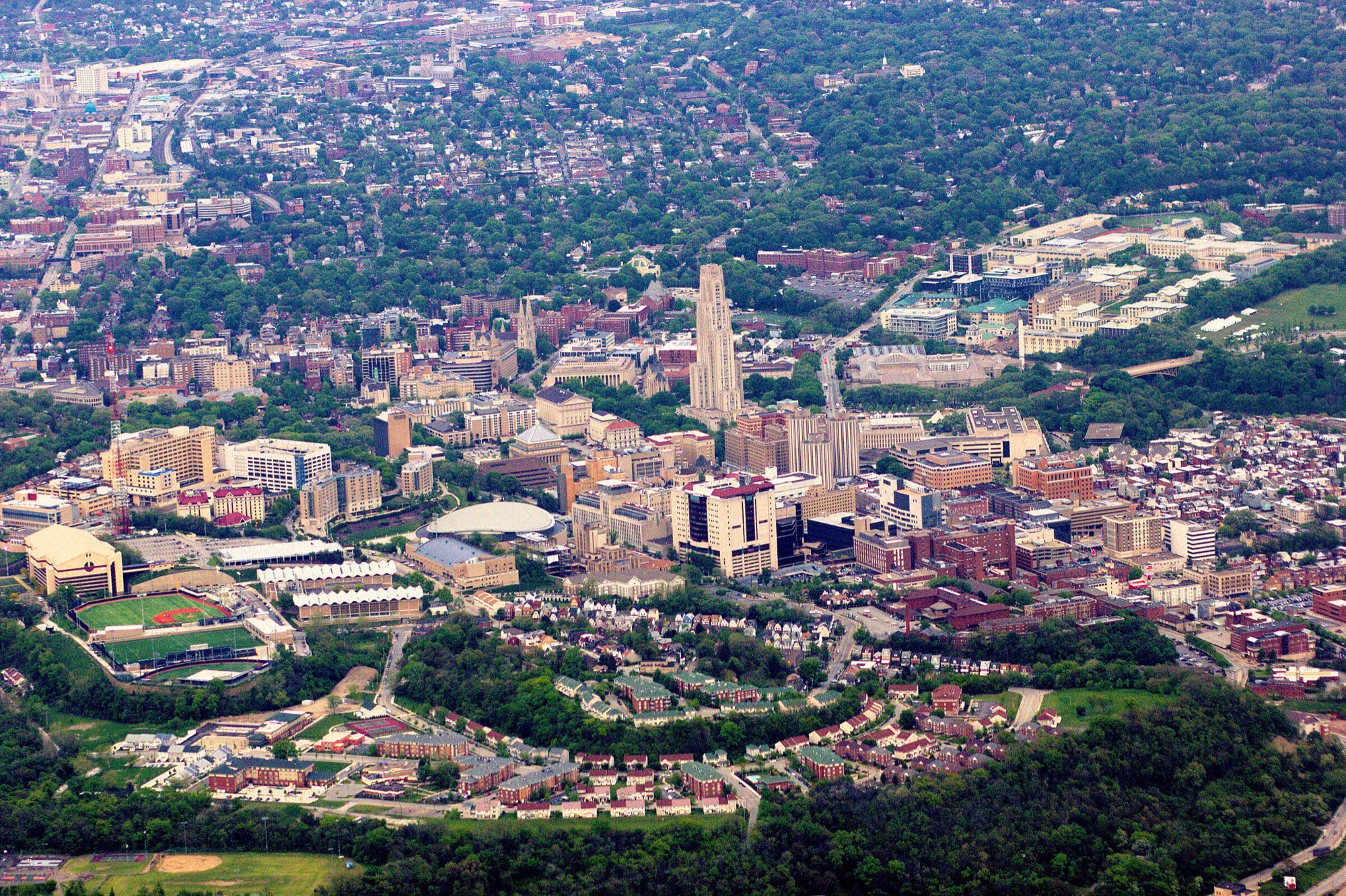 Pitt campus