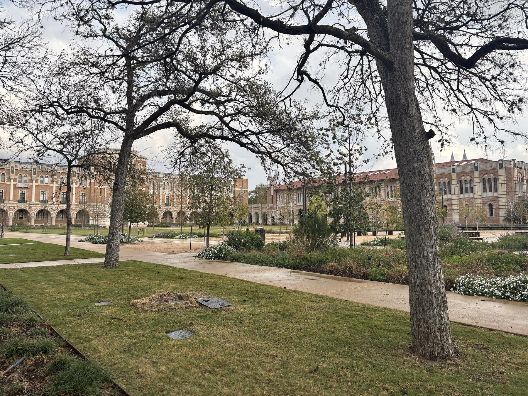 Rice University campus