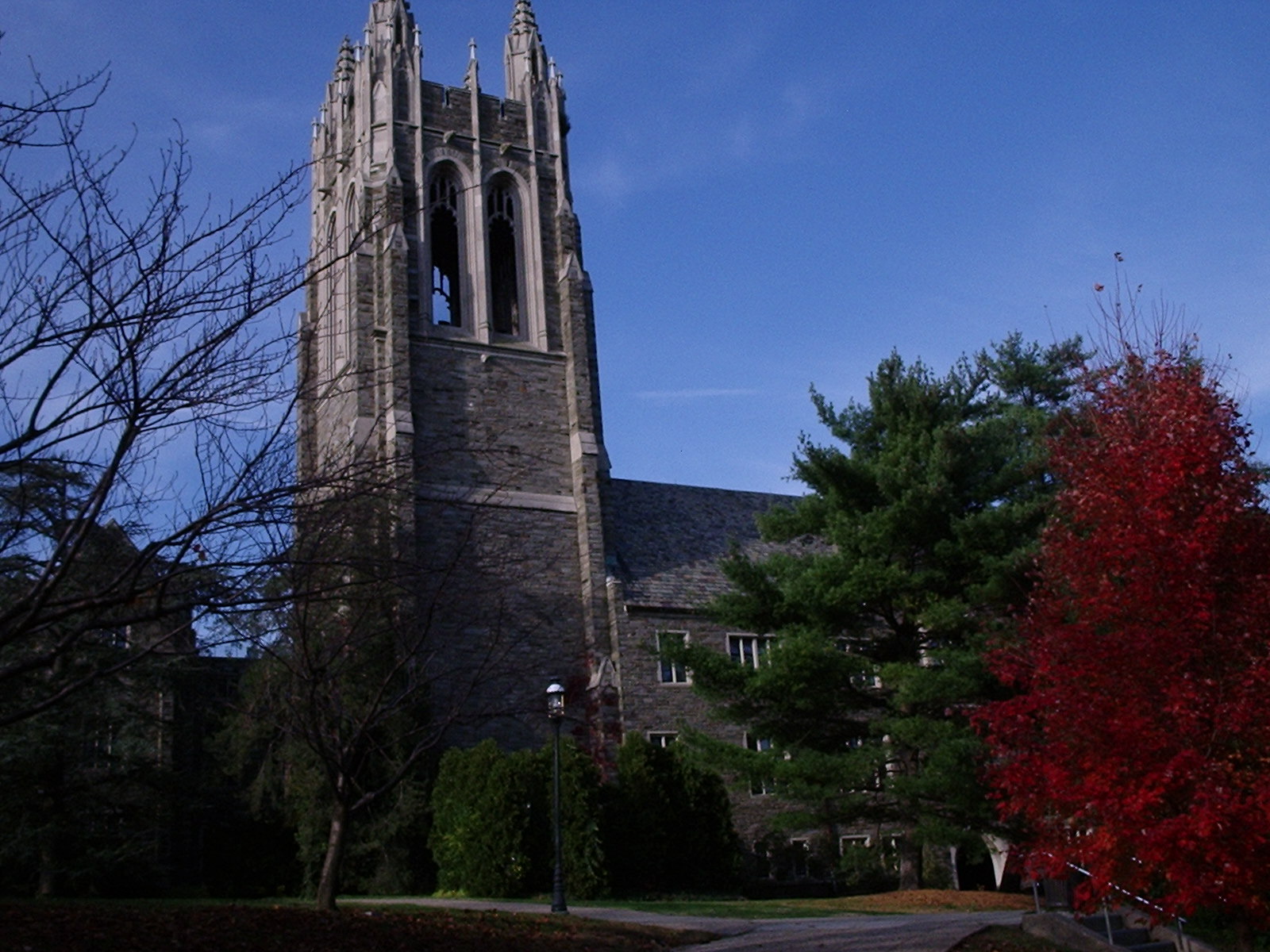 Saint Joseph's University campus
