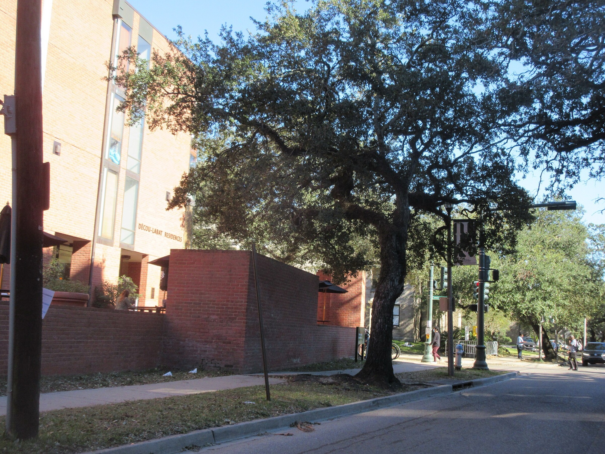 Tulane campus