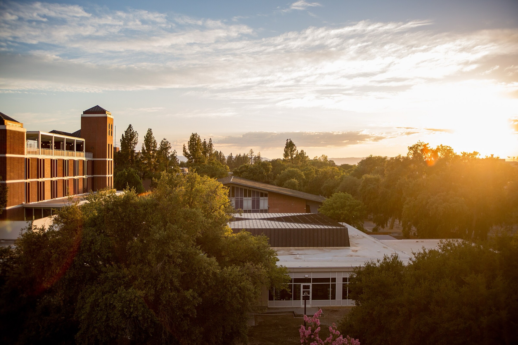 UC Davis campus