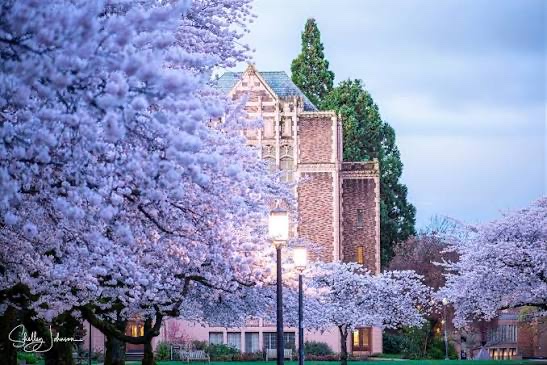 Washington (UW) campus